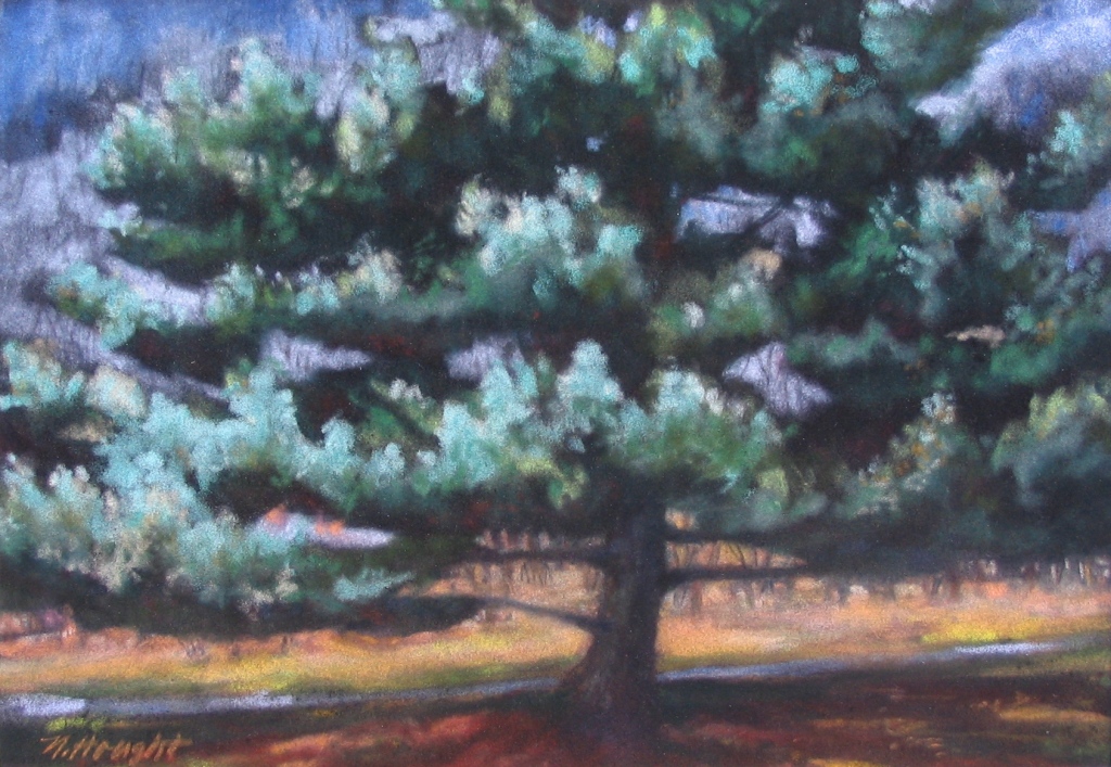 Evergreen - click here to see a full page image and more details